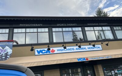Enhancing Visibility: Village Physio’s New Signage in Edgemont Village